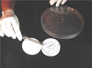 Фото HiMedia DD009R-1VL оптохин диски с этилгидрокупреина гидрохлоридом для идентификации Streptococcus pneumoniae (1фл/100дисков)