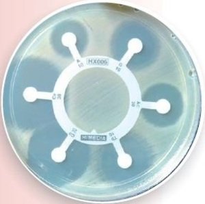 Фото HiMedia HX060-1PK Гексадиски G-minus 11 для энтеробактерий внекишечного происхождения (10 гексадисков)