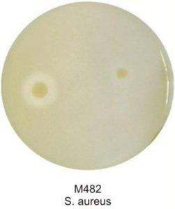 Фото HiMedia GM482-100G Основа агара для теста на ДНКазу, гранулированная (уп/100 гр)
