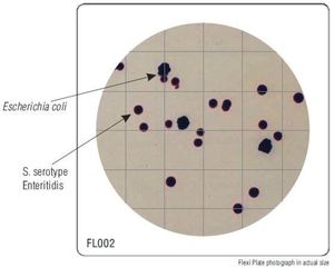 Фото HiMedia FL002-50РТ Бакпечатки HiTouch для подсчета всех колиформных микроорганизмов (50 чашек d 55 мм)
