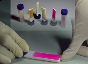 Фото HiMedia HD019-10TB Пластинка HiDip для подсчета бактерий и выдел.дрожжей и плесени (10 шт.)