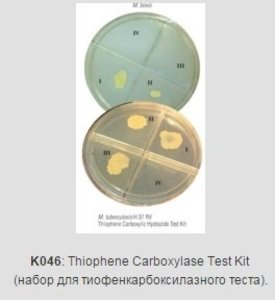 Фото HiMedia K046-1KT Набор для теста с гидразидом тиофен-2-карбоксиловой кислоты (TCH) для микобактерий