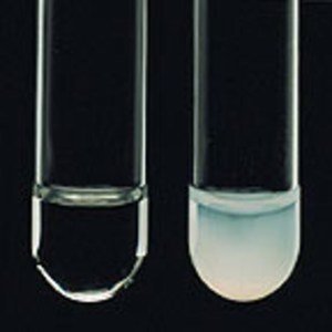 Фото OXOID R21130 Набор Remel Lysostaphin Test Kit (25 тестов)