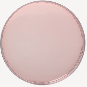 Фото HiMedia GMH581-500G Глюкозо-желчный агар с кристаллвиолетом и нейтральным красным (500 г)