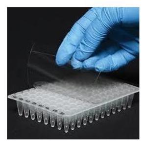 Фото HiMedia PR18-1X100NO Пленка для заклейки ПЦР-планшетов, оптически прозрачная (100 шт)