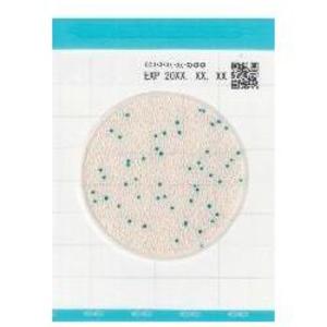 Фото Kikkoman Biochemifa Easy Plate CC Тест-пластины (100 шт)