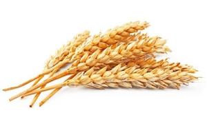 Фото ХЕМА ХЕМАТест Глютен Профи Тесты на глютен (20 шт)