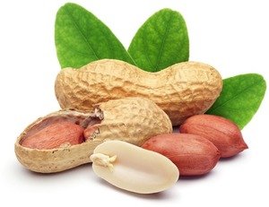 Фото ХЕМА ХЕМАТест Арахис Профи Тесты на выявление арахиса (15 шт)