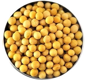 Фото ХЕМА ХЕМАТест Соя Профи Тест на выявление антигена сои (15 шт)