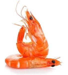 Фото ХЕМА ХЕМАТест Ракообразные Профи Тест на выявление антигена ракообразных (15 шт)