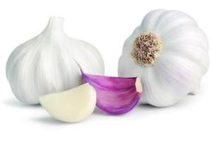 Фото ХЕМА ХЕМАТест Чеснок Профи Тест на выявление антигена чеснока (15 шт)