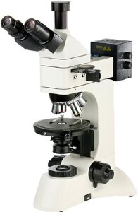 Фото MPL