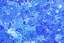 Фото HiMedia S022-125ML Краситель метиленовый синий по Леффлеру (125 мл)