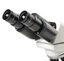 Фото 4 Микромед 1 (2 LED inf.) 28066 Микроскоп бинокулярный