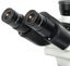 Фото Микромед 1 (вариант 3A LED inf) 32622 Микроскоп тринокулярный