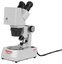 Фото Микромед МС-1 вар. 2C Digital Микроскоп стерео бинокулярный