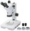 Фото 3 Микромед МС-5-ZOOM LED 24799 Микроскоп тринокулярный