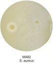 HiMedia GM482-100G Основа агара для теста на ДНКазу, гранулированная (уп/100 гр)
