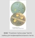 HiMedia K046-1KT Набор для теста с гидразидом тиофен-2-карбоксиловой кислоты (TCH) для микобактерий