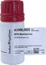Applichem A1008,0005 ИПТГ (Изопропил-бета-D-тиогалактопиранозид), для биохимии (5 г)