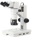 Микромед MC-А-0880-tilt 28260 Микроскоп бинокулярный